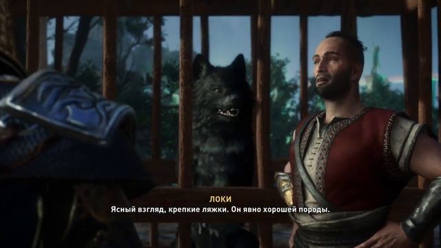 Хитрый Каменщик!!! Волк Фенрир ( Второй сын Локи)?!? Assassin's Creed Valhalla #33