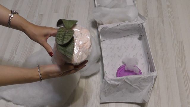 Орхидейная мечта сбывается 🎁 Посылка-подарок с новыми орхидеями! смотреть онлайн