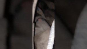 Туксон 1 двигатель не заводиться и не крутит стартер одна из причин