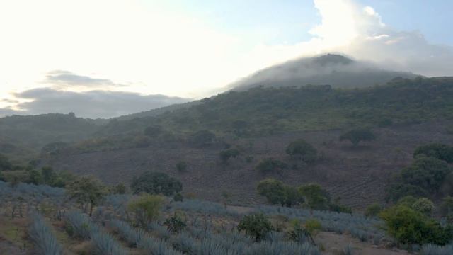 New Apple Search Engine Is going to be Better Than Google!?! смотреть онлайн