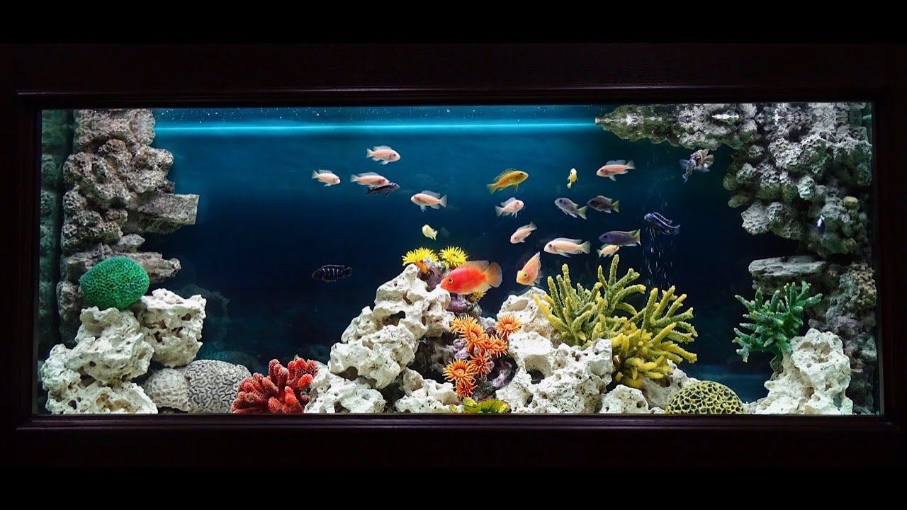 Оформление аквариума в стиле "Псевдоморе" смотреть онлайн