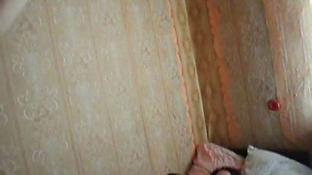 Испугалась паука на даче смотреть онлайн