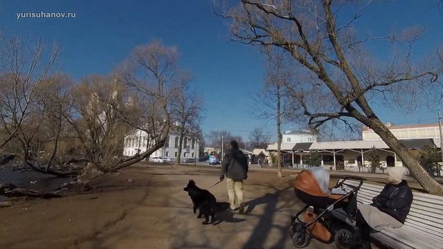 Как ведет себя Лада в городе с большим количеством раздражителей смотреть онлайн
