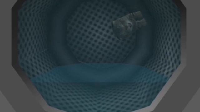 3 ИГРЫ про Котиков, Cats на телефон