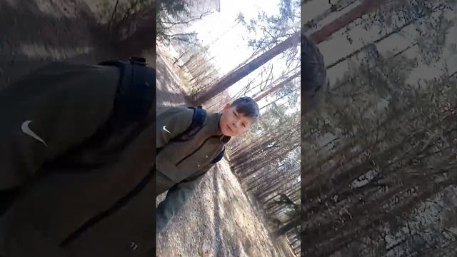 фонтанчик с черным дельфином Богдан смотреть онлайн