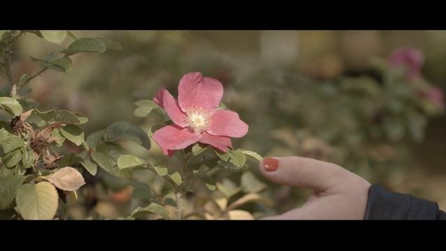 Светоприбор СОЦИАЛЬНЫЙ смотреть онлайн