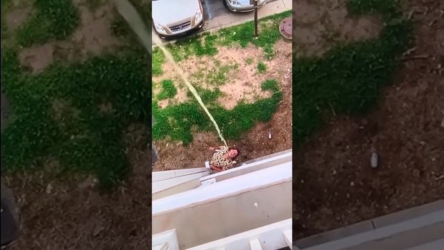 Лови смотреть онлайн