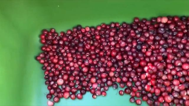 Лайфхак: как осортировать клюкву быстро смотреть онлайн