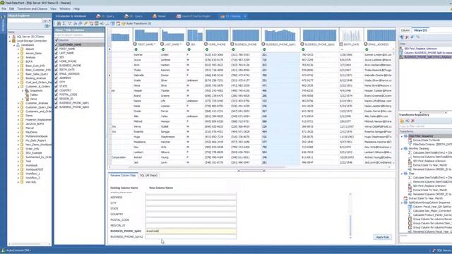 Using Transformation and Cleanse within Toad Data Point Workbook смотреть онлайн