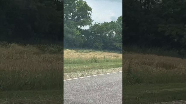 Мой дельтаплан