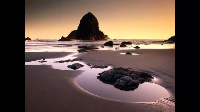 ПОЛЬЗА РУДРАКШИ. ИЗ ПЛОДОВ СВЯЩЕННОГО ДЕРЕВА РУДРАКШИ ДЕЛАЮТСЯ ШИВАИТСКИЕ ЧЁТКИ. смотреть онлайн