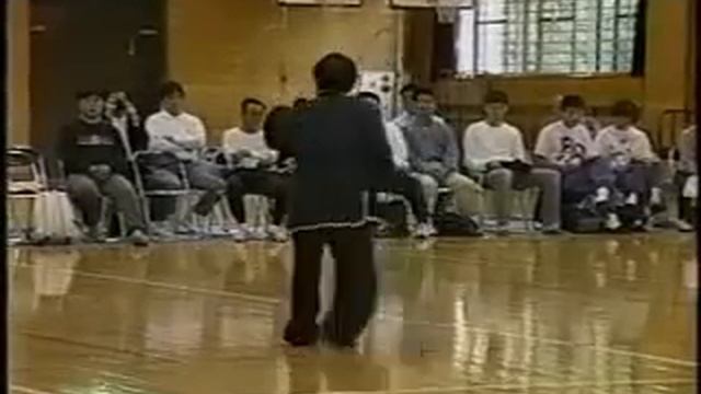 Xing Yi Quan Demonstration By Feng Zheng Bao