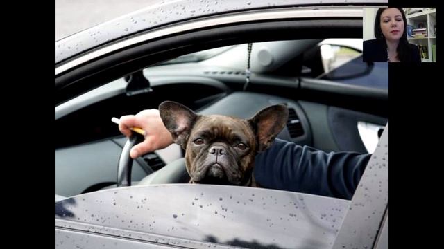 Как Сделать с Силой