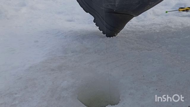 Друзья,давненько меня не было.Ну вот и свершилась моя после новогодняя рыбалка. смотреть онлайн