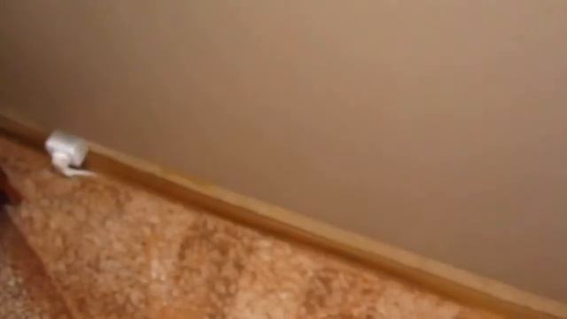 Обзор инфракрасных керамических обогревателей Венеция Часть 2 1 смотреть онлайн