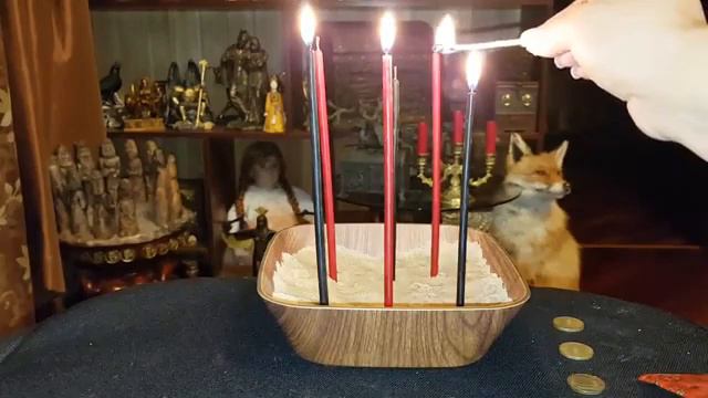 АБРАКАДАБРА ХОЧУ МНОГО ДЕНЕГ ДЛЯ ВСЕХ. Автор Инга Хосроева смотреть онлайн