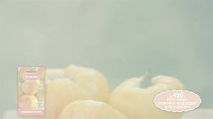 Лучшие сорта и гибриды томатов для любителей