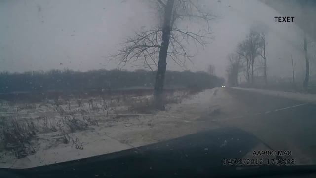 Единственное дерево и то поймал !!! смотреть онлайн