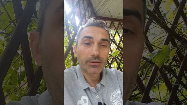 ПОЗДРАВИТЬ С ДНЁМ ЗНАНИЙ ● Коллекция смешных анекдотов смотреть онлайн