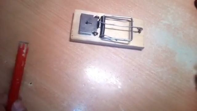 Как работает мышеловка смотреть онлайн