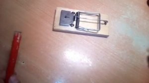 Как работает мышеловка