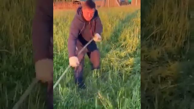 Свежая трава для коровы - Салават Фатхетдинов смотреть онлайн
