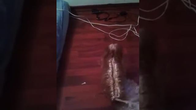 Марионетка смотреть онлайн