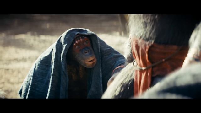 NEW MOVIE TRAILERS 2024 | 4K ULTRA HD