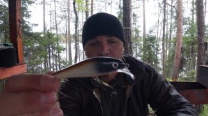 Лучшие приманки для троллинга в КАРЕЛИИ на ПЯОЗЕРЕ!!!