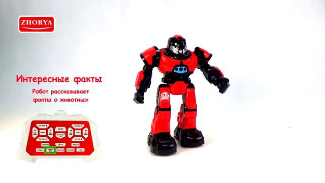 Робот Zhorya ПЛУТО ZYA-A2752-1 смотреть онлайн