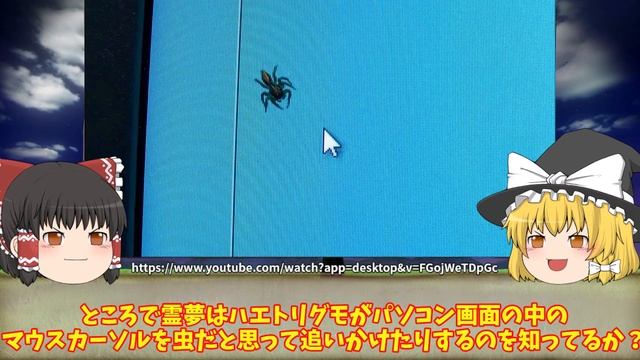 【ゆっくり解説】可愛い益虫ハエトリグモの秘密 смотреть онлайн