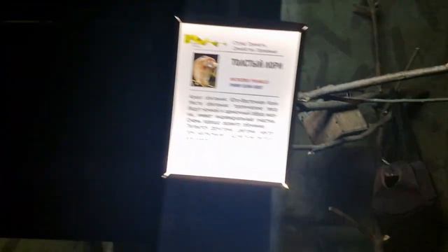 Парк Птиц Воробьи. Влог смотреть онлайн