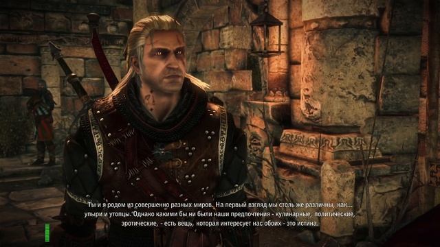The Witcher 2.Assassins Of Kings ❚ Какой-то там заговор смотреть онлайн