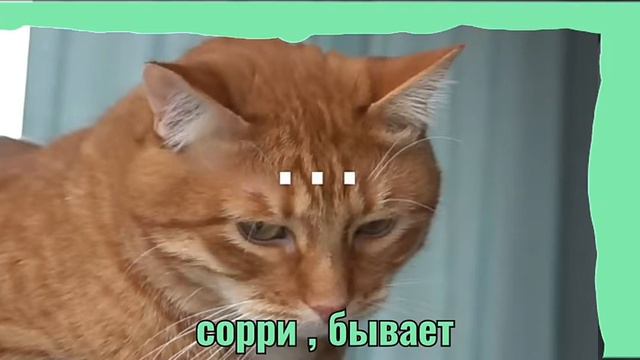 Моё первое видео( ЕСТЬ МАТЫ ) смотреть онлайн