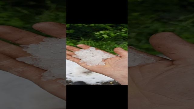 Белая икра Сибири смотреть онлайн