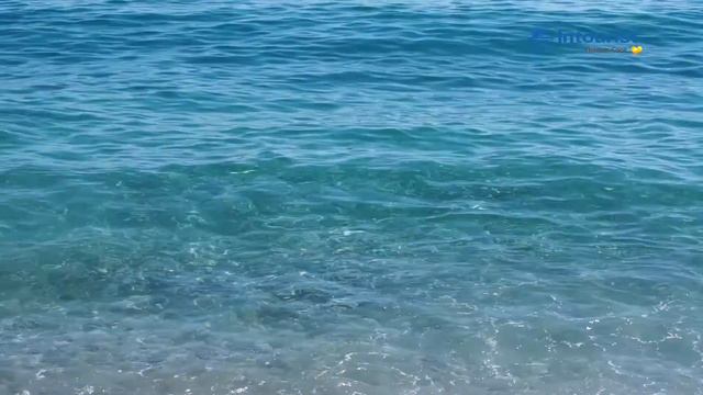 ALVA DONNA смотреть онлайн