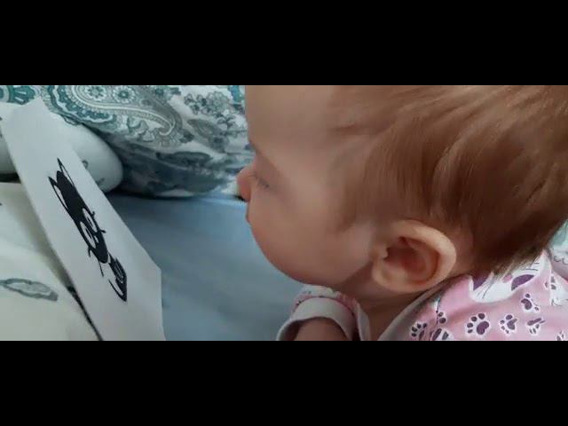 маленькая принцесса смотреть онлайн