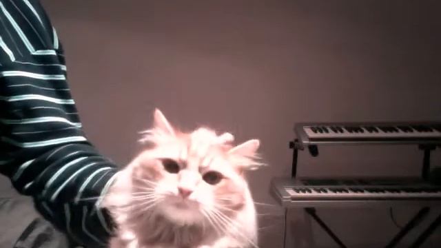 Capturing video with python and opencv смотреть онлайн