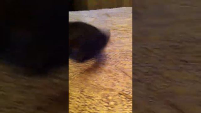 IMG 1302 смотреть онлайн