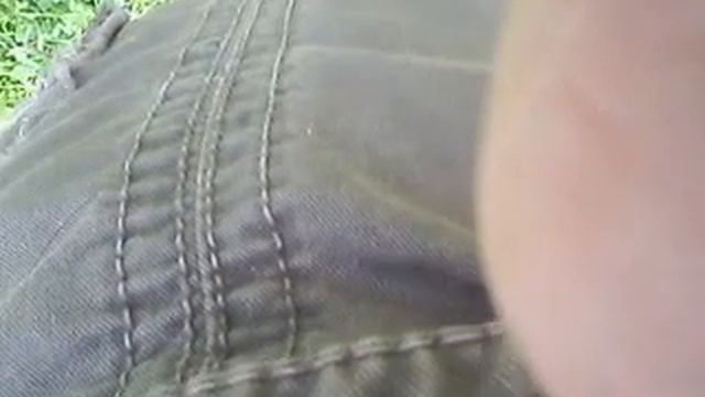 Кавказская овчарка Клин Трио Назарет.ЗСК смотреть онлайн