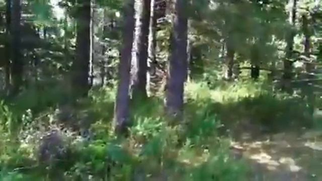 Деревня Крюково на Каме смотреть онлайн