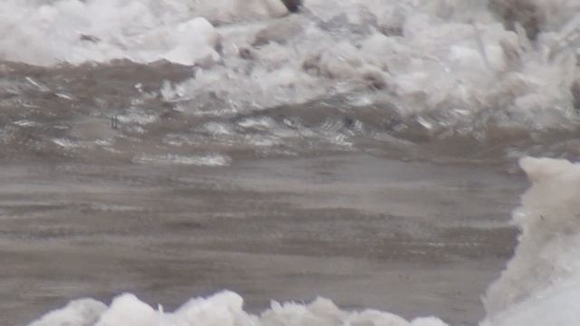 Ледоход на Чулыме 2023 смотреть онлайн