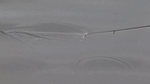 Рыбалка в подмосковном рыбхозе "Сенеж" 10 ноября 2012 года смотреть онлайн