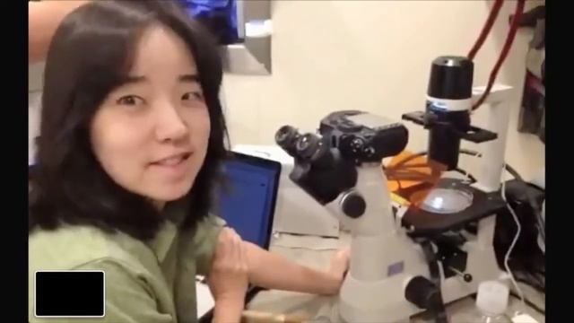 Hang Out with Researchers at Work in the Solomon Islands смотреть онлайн