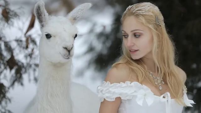 Фотосессия с животными www.nikolaudmitriy.ru смотреть онлайн