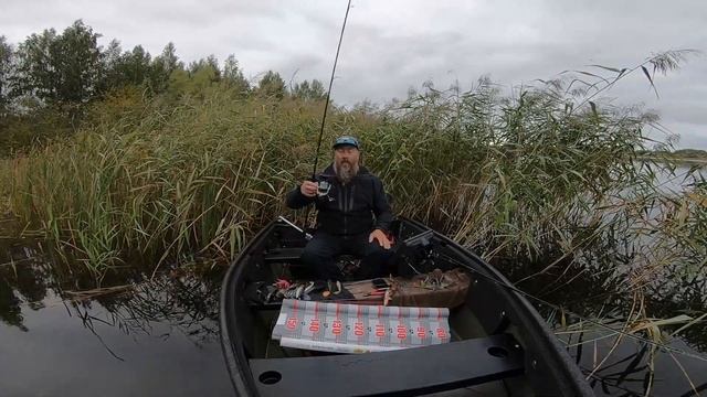 SHIMANO LUNAMIS S96M смотреть онлайн