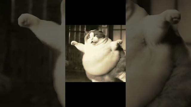 Лучше уже не будет ? #искусственный_интеллект #искусственныйинтеллект #нейросеть #midjourney #кошки смотреть онлайн