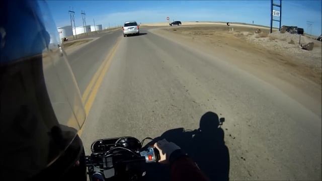 scootin cooters Honda Rukus смотреть онлайн