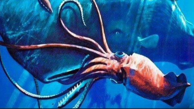 факты о гигантском кальмаре смотреть онлайн