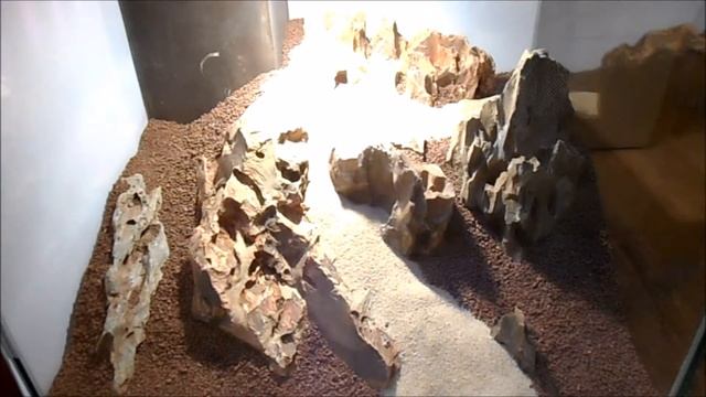 Project Dragonstone completed! смотреть онлайн